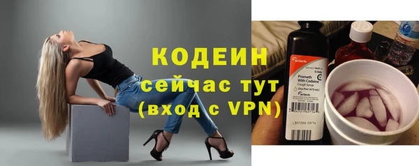 2c-b Елабуга