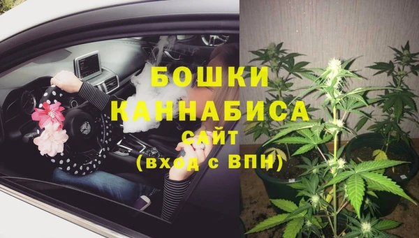 2c-b Елабуга